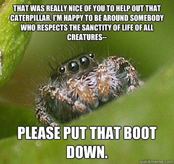 that was really nice of you to help out that caterpillar i - Misunderstood Spider