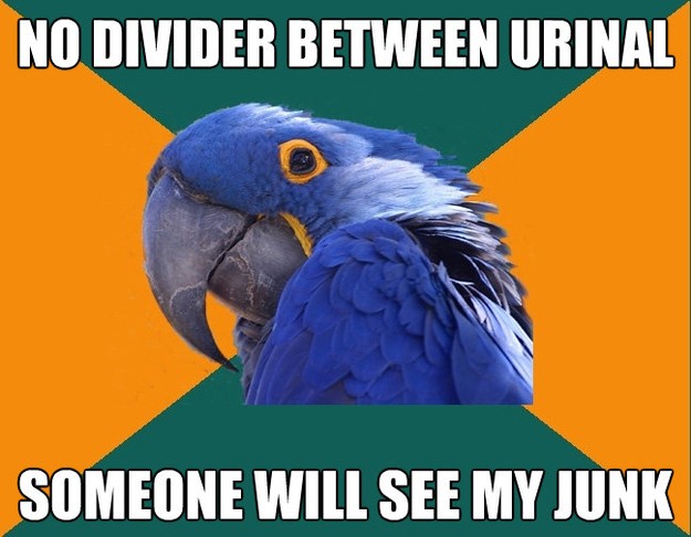 no divider between urinal someone will see my junk - Paranoid Parrot