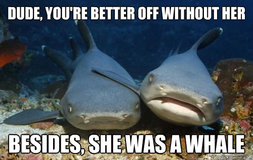 dude youre better off without her besides she was a whale - Compassionate Shark Friend