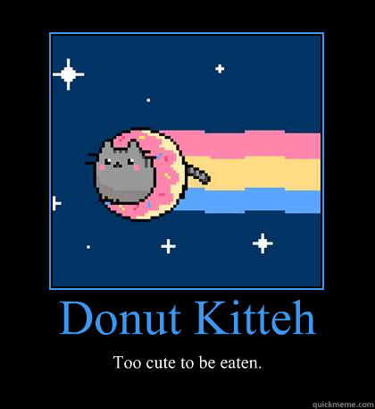 donut lolcat