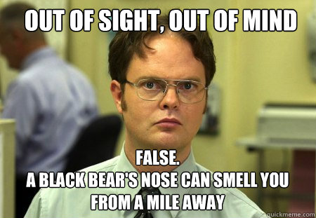 out of sight out of mind false a black bears nose can s - Schrute