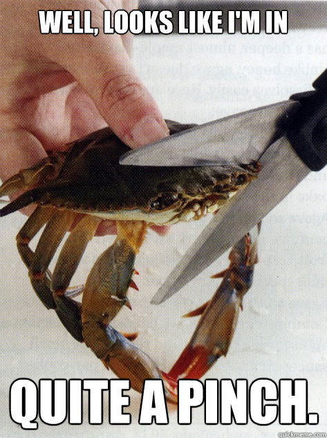 well looks like im in quite a pinch - Optimistic Crab