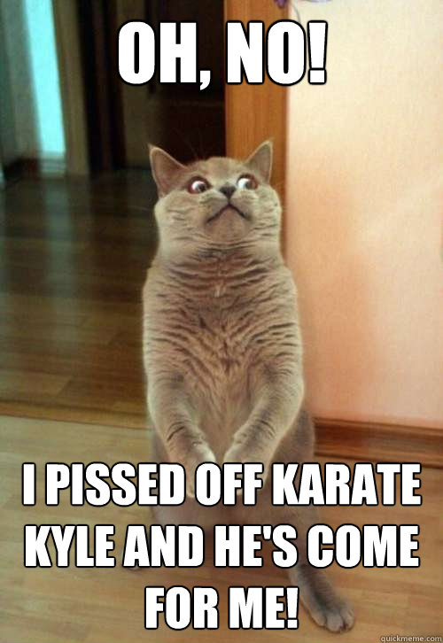 oh no i pissed off karate kyle and hes come for me - Horrorcat