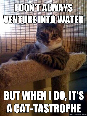 i dont always venture into water but when i do its a cat - The Most Interesting Cat in the World