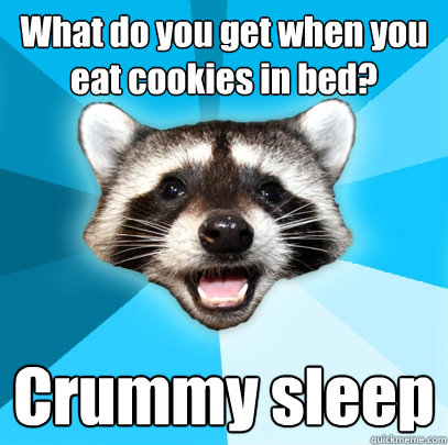 what do you get when you eat cookies in bed crummy sleep - Lame Pun Coon