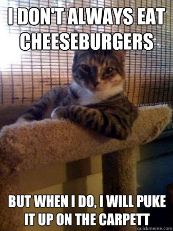 i dont always eat cheeseburgers but when i do i will puke - The Most Interesting Cat in the World