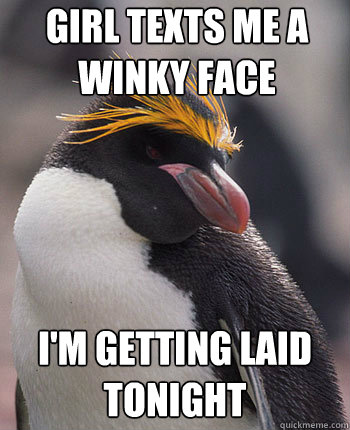 girl texts me a winky face im getting laid tonight - Socially Overconfident Penguin