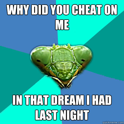 why did you cheat on me in that dream i had last night - Crazy Girlfriend Praying Mantis