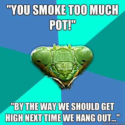 you smoke too much pot by the way we should get high nex - Crazy Girlfriend Praying Mantis