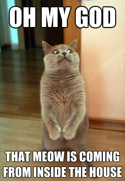 oh my god that meow is coming from inside the house - Horrorcat