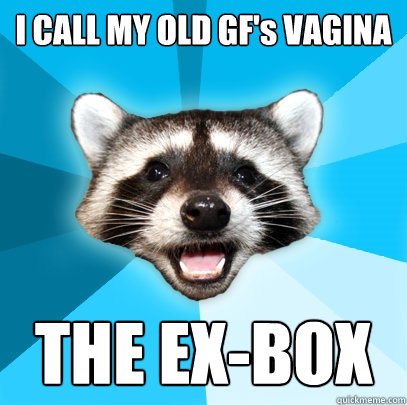 i call my old gfs vagina the exbox - Lame Pun Coon