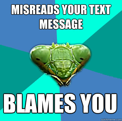 misreads your text message blames you - Crazy Girlfriend Praying Mantis