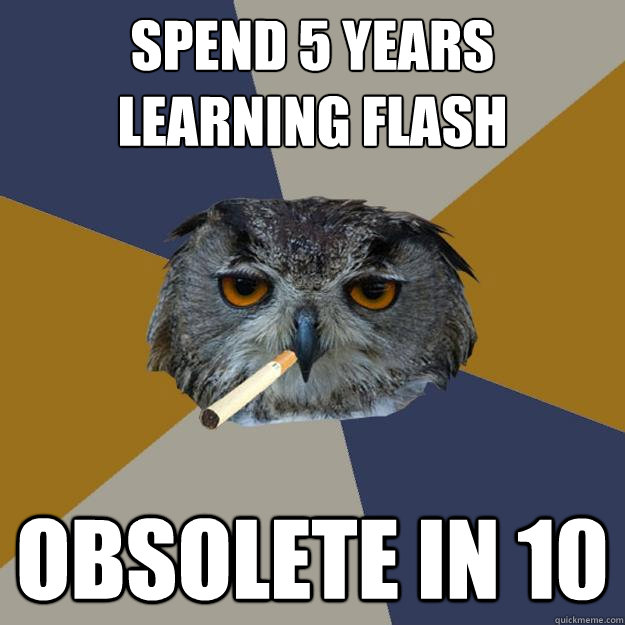 spend 5 years learning flash obsolete in 10 - Art Student Owl