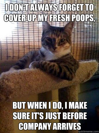 i dont always forget to cover up my fresh poops but when i - The Most Interesting Cat in the World