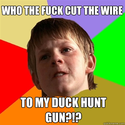who the fuck cut the wire to my duck hunt gun - Angry School Boy