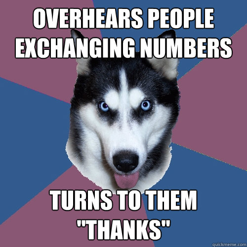 overhears people exchanging numbers turns to them thanks - Creeper Canine