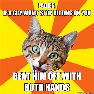 ladies if a guy wont stop hitting on you beat him off wit - Bad Advice Cat