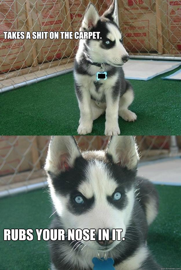 takes a shit on the carpet rubs your nose in it - Insanity puppy