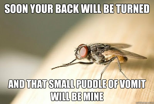 soon your back will be turned and that small puddle of vomit - Evil Plotting Fly