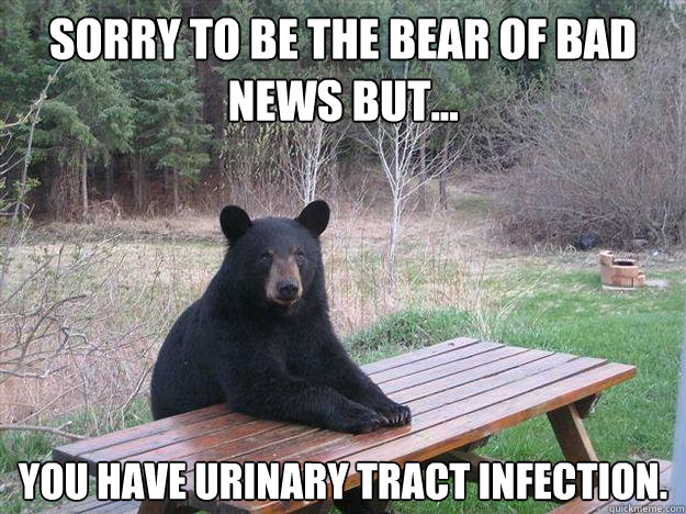 sorry to be the bear of bad news but you have urinary tra - Bear of Bad News