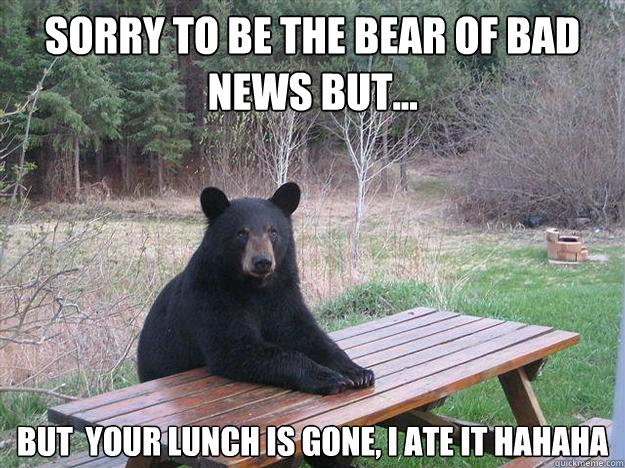 sorry to be the bear of bad news but but your lunch is g - Bear of Bad News