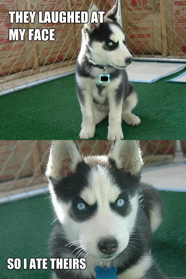 they laughed at my face so i ate theirs - Insanity puppy
