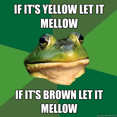 if its yellow let it mellow if its brown let it mellow - Foul Bachelor Frog