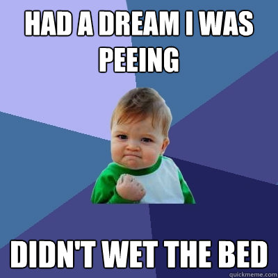 Stop Wetting  on Had A Dream I Was Peeing Didnt Wet The Bed   Success Kid