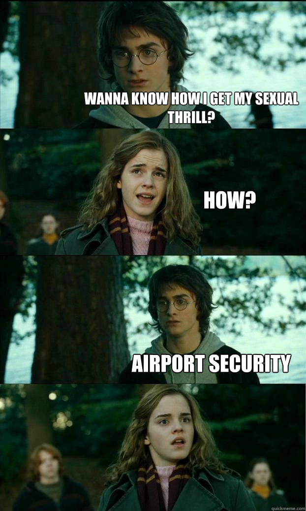 wanna know how i get my sexual thrill how airport security - Horny Harry