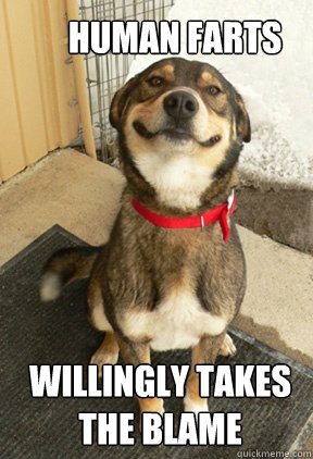 human farts willingly takes the blame - Good Dog Greg