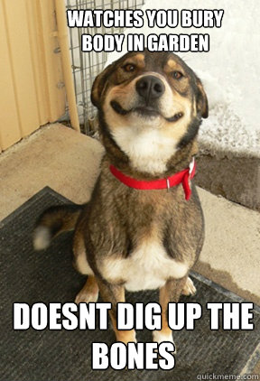 watches you bury body in garden doesnt dig up the bones - Good Dog Greg