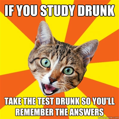 if you study drunk take the test drunk so youll remember th - Bad Advice Cat