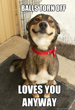 balls torn off loves you anyway - Good Dog Greg