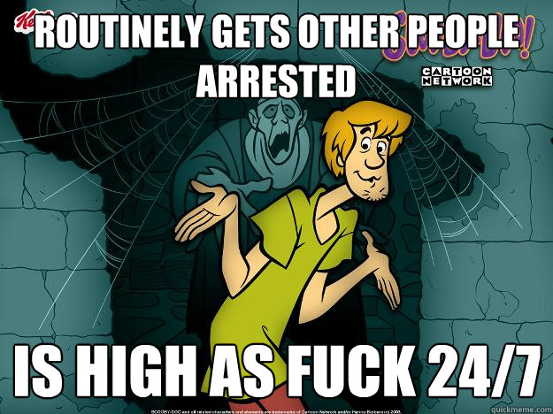 routinely gets other people arrested is high as fuck 247 - Irrational Shaggy
