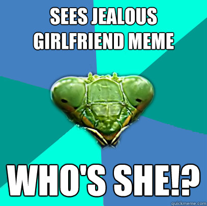 sees jealous girlfriend meme whos she - Crazy Girlfriend Praying Mantis