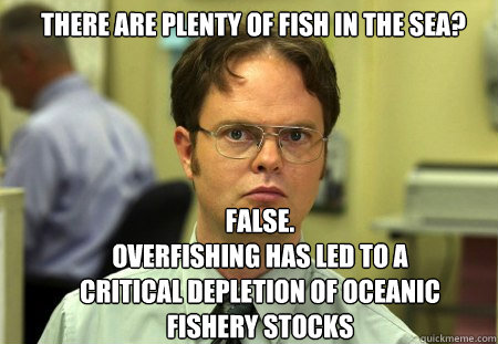 there are plenty of fish in the sea false overfishing has - Schrute