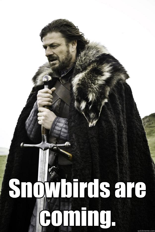 snowbirds are coming - Winter is coming