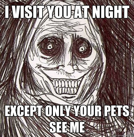 i visit you at night except only your pets see me - Horrifying Houseguest