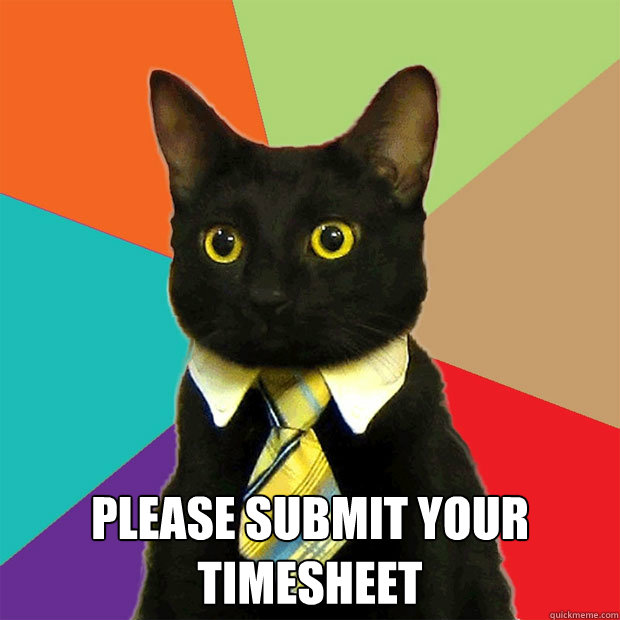 please submit your timesheet - Business Cat