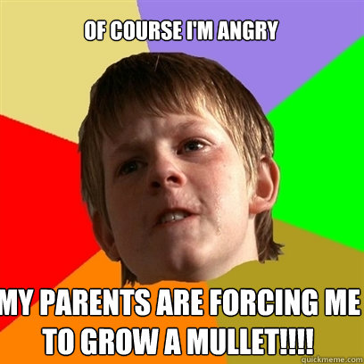 of course im angry my parents are forcing me to grow a mull - Angry School Boy