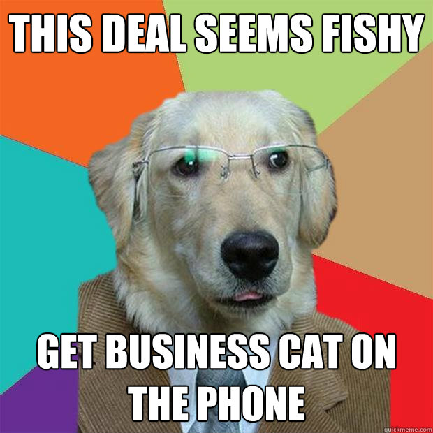 this deal seems fishy get business cat on the phone - Business Dog