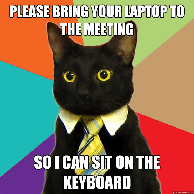 please bring your laptop to the meeting so i can sit on the - Business Cat
