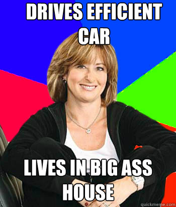 drives efficient car lives in big ass house Sheltering Suburban Mom