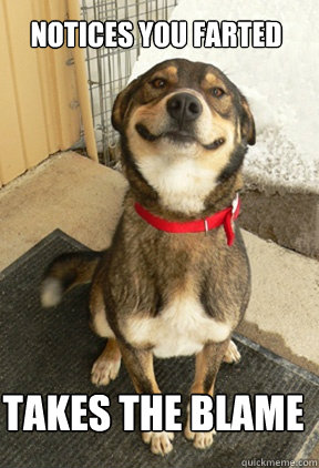 notices you farted takes the blame - Good Dog Greg