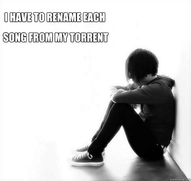i have to rename each song from my torrent song from my torr - Torrent problems