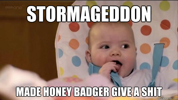stormageddon made honey badger give a shit - Stormageddon- Dark Lord of All