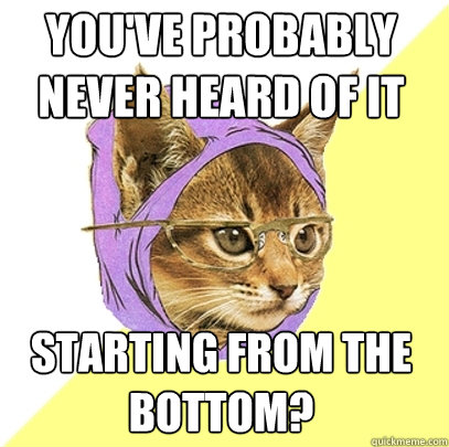 youve probably never heard of it starting from the bottom - Hipster Kitty