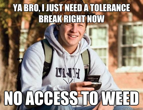 ya bro i just need a tolerance break right now no access to - College Freshman