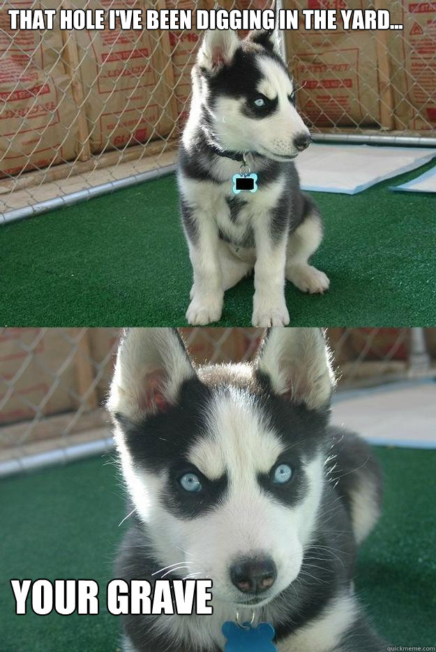 that hole ive been digging in the yard your grave - Insanity puppy