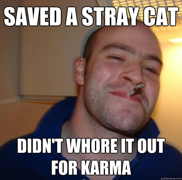 saved a stray cat didnt whore it out for karma - Good Guy Greg